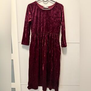 Reborn Burgundy Velvet Dress